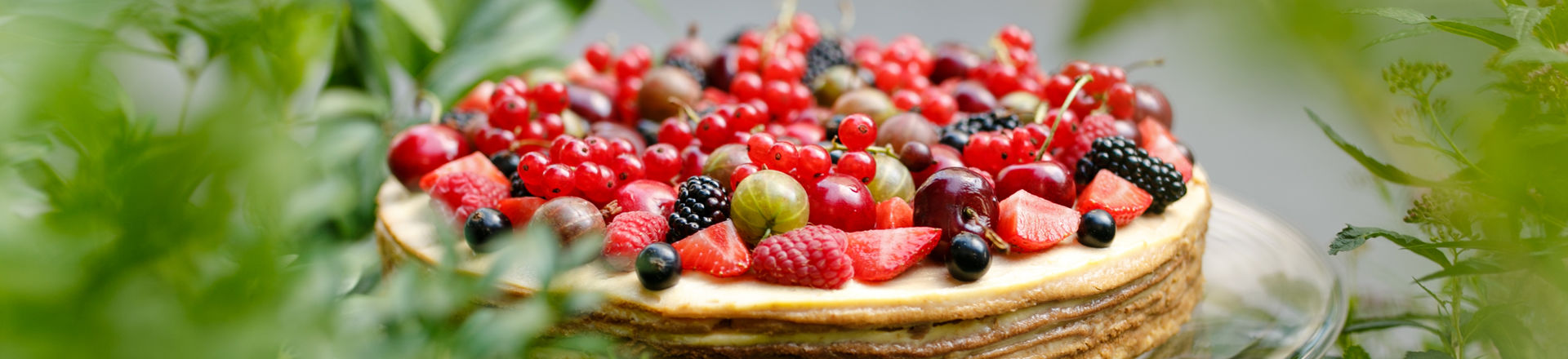 Our cake will create your holiday. We offer natural products and fantastic tastes.